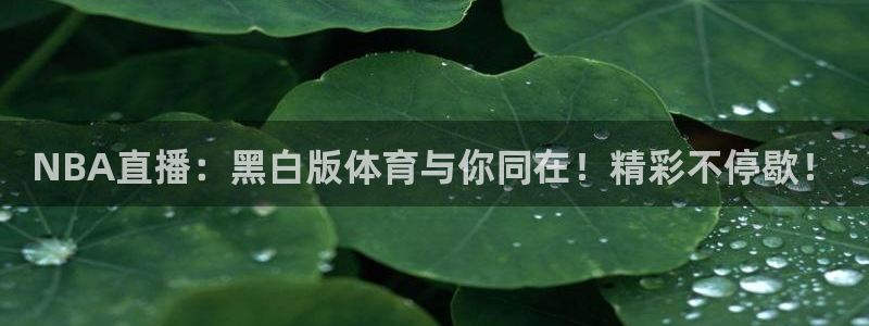 中国足球球迷：NBA直播：黑白版体育与你