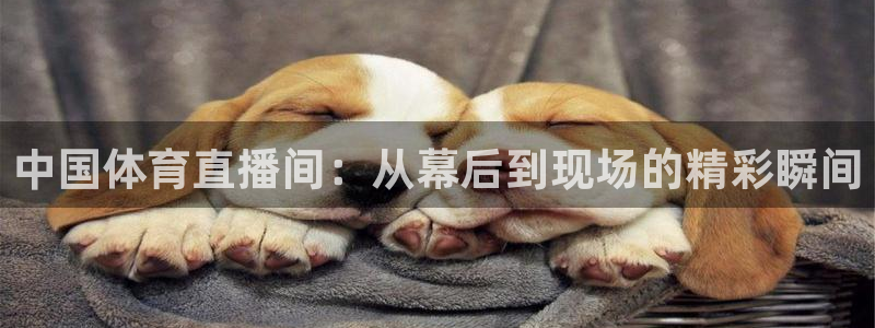 小球迷app：中国体育直播间：从幕后到现
