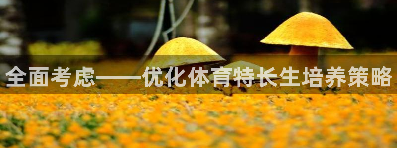 中国足球球迷有多少：全面考虑——优化体育